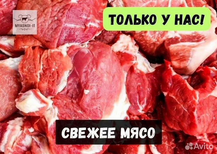 Мясо телятины