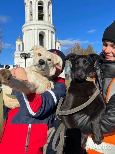 Малышка Сима 6 месяцев