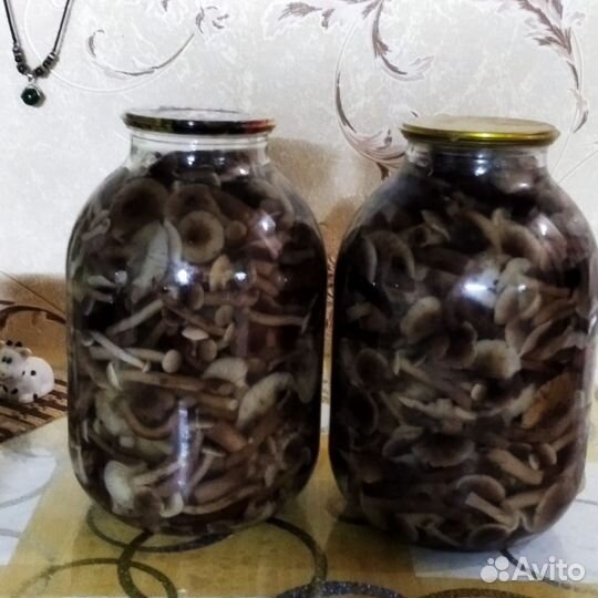 Грибы опята, грузди маринованные