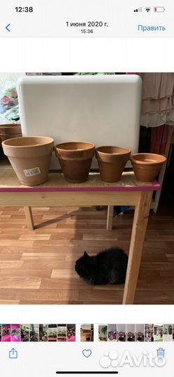 Горшки глиняные и Стеклянные бутылки 0,25л и 1 л