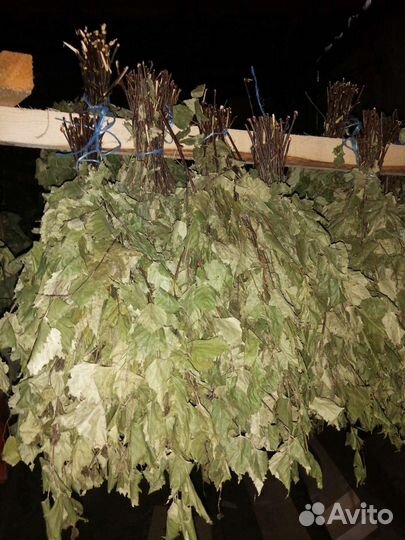 Веники для бани