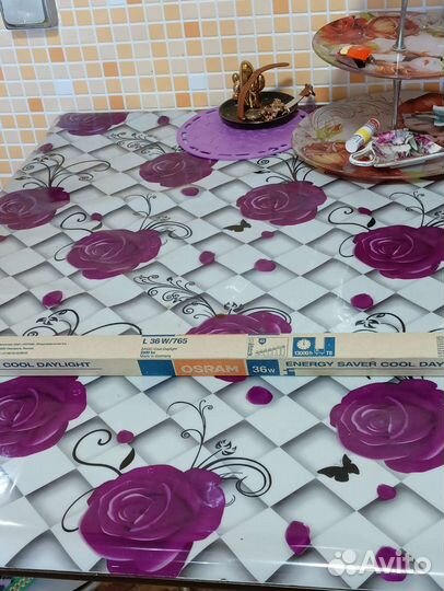 Плащ пальто52рр