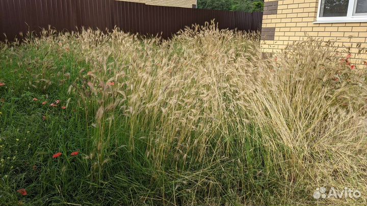 Покос травы