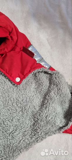 Одежда для собак