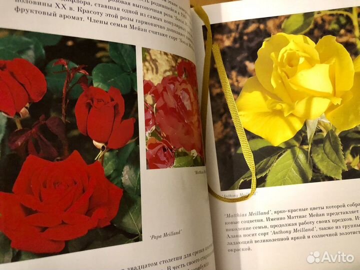 Книга Французские Розы Селекции Мейан