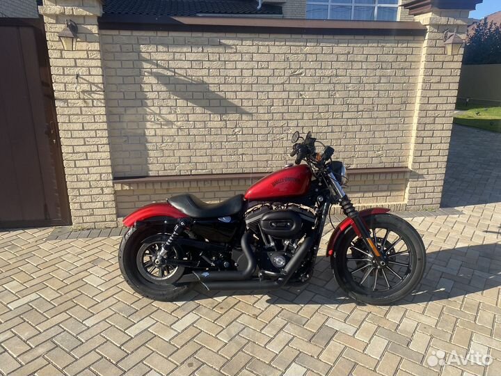 Harley-Davidson xl883n iron