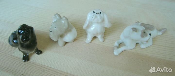 Собачки миниатюры лфз