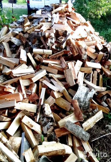 Дрова Осина любого объема от производителя