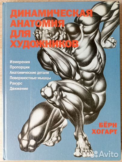 Динамическая анатомия