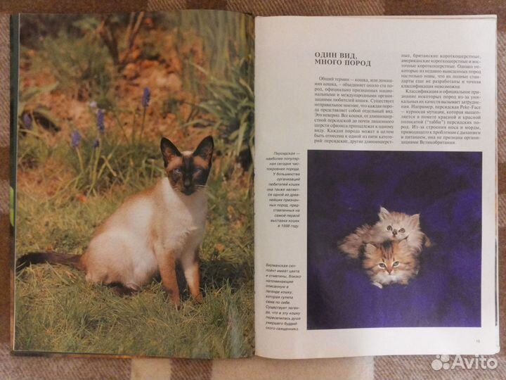 Книга «Кошки»