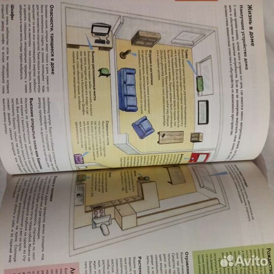 Интересная книга про кошек