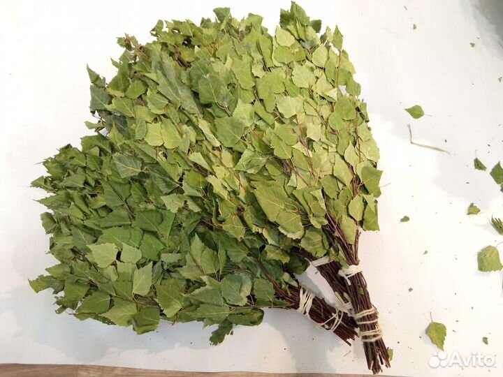 Веник для бани можжевельник свежие банные купить