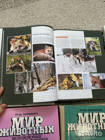 Книги энциклопедия