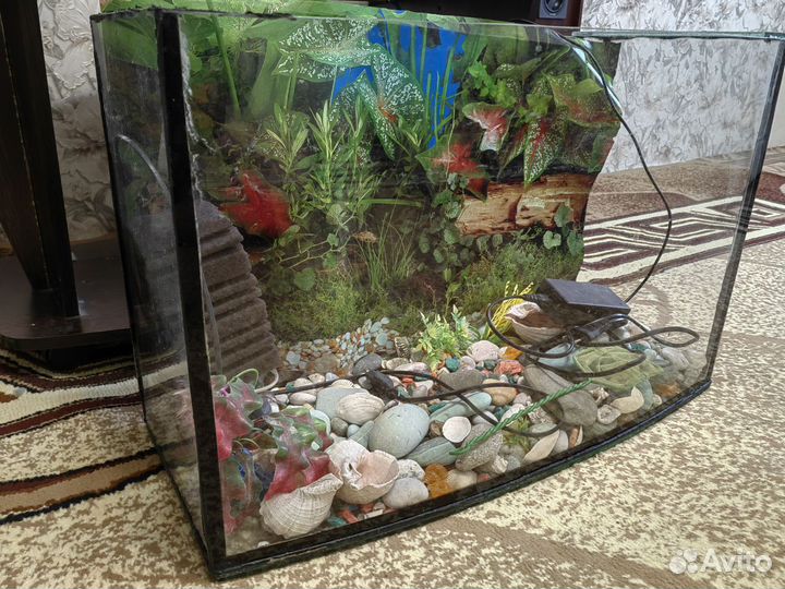 Аквариум