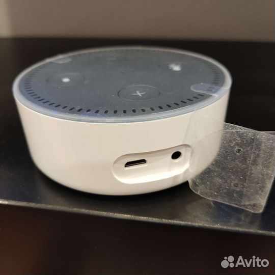 Amazon Ehodot, колонка