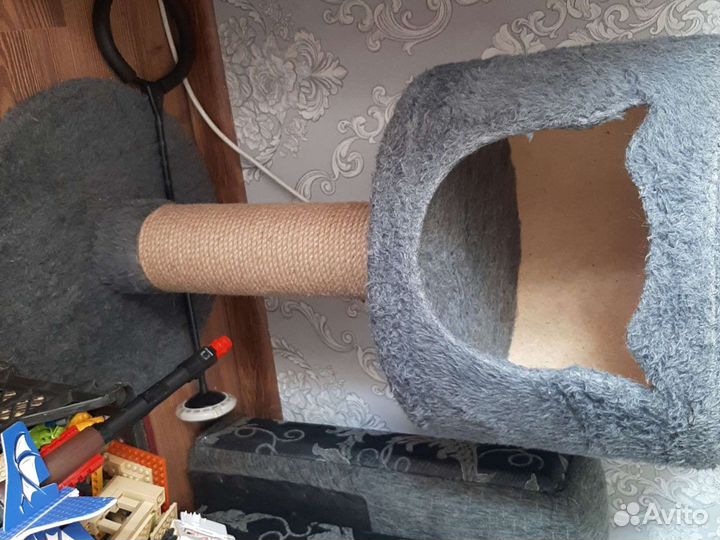 Когтеточка