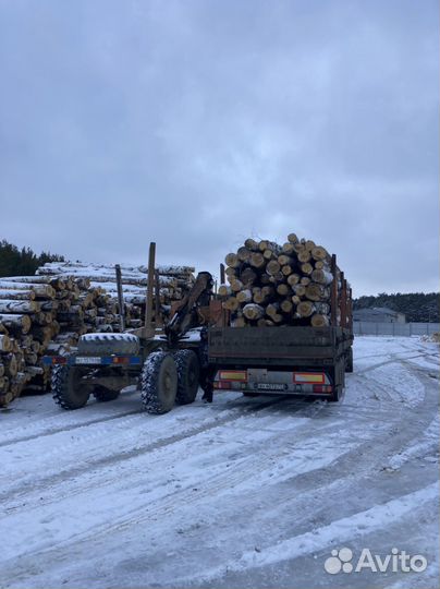 Дрова колотые