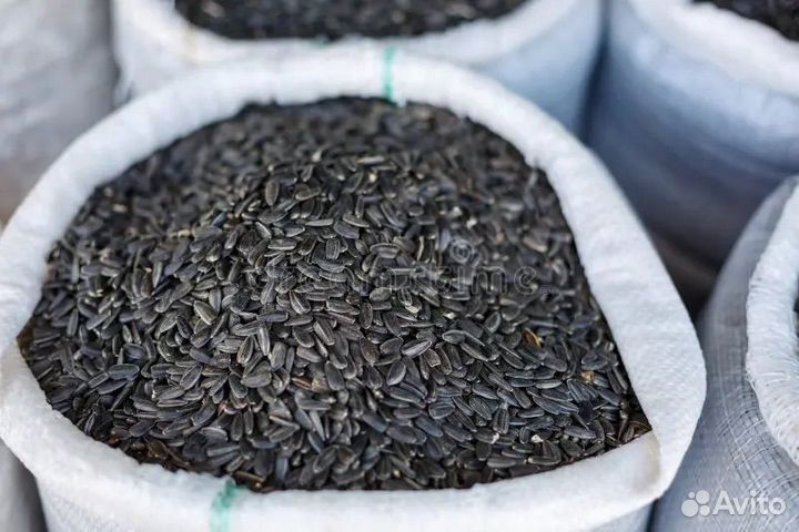 Семечки подсолнечника