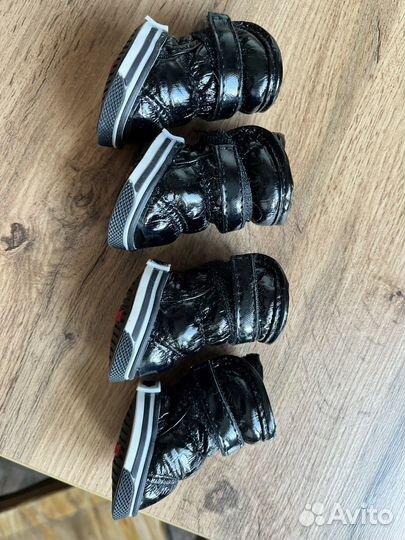 Обувь для маленьких собак