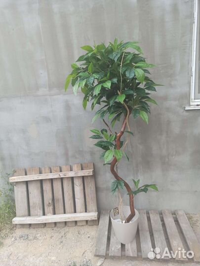 Искусственные деревья