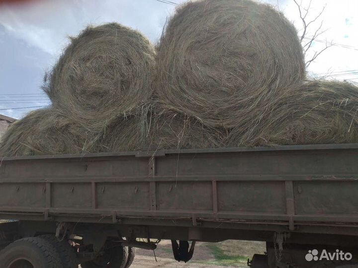 Продаются сено