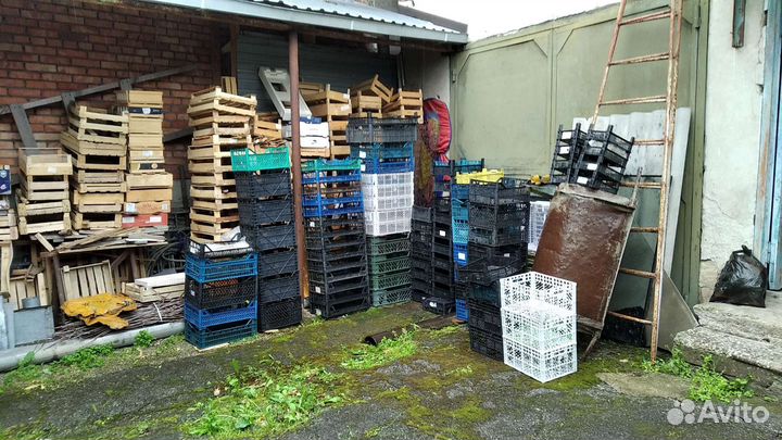 Ящики деревянные разные для хурмы и др фруктов