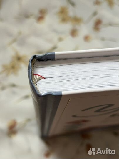 Анна Котова 