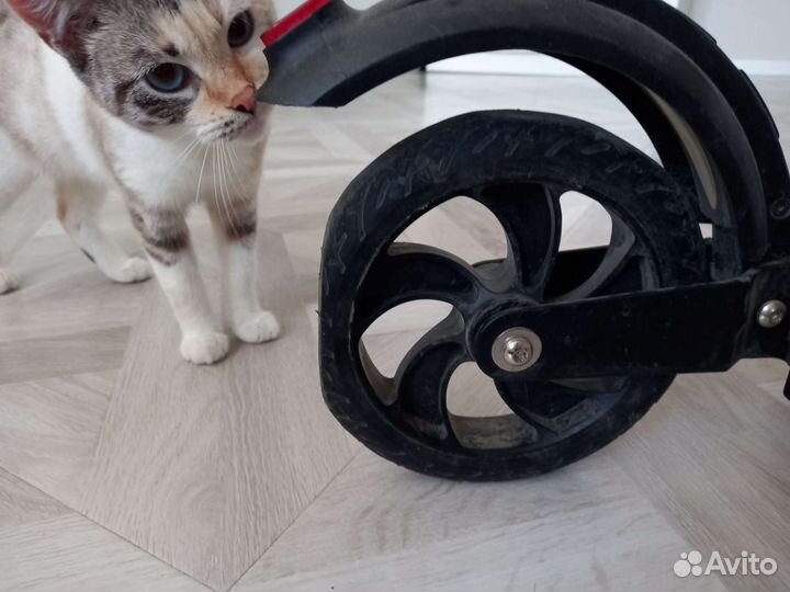 Электросамокат Kugoo s3