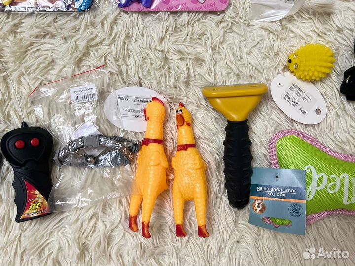 Разное для собак