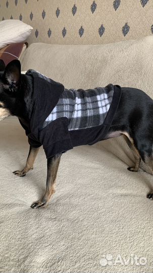 Одежда для маленьких пород собак