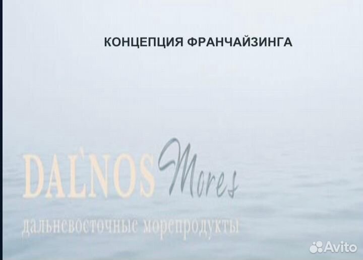 Упаковка бизнеса во франшизу