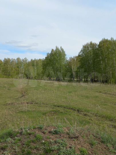 Участок 12 сот. (ИЖС)