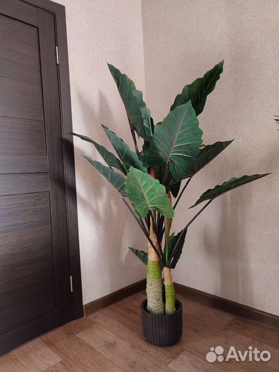 Искусственные растения в ассортименте