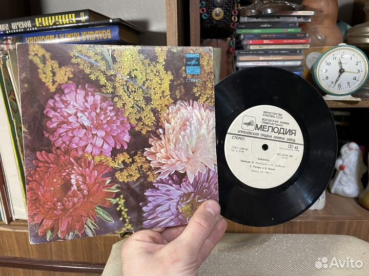 Любимое: 1985 год «Лаванда» София Ротару