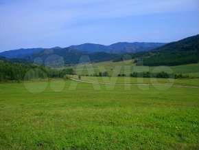 Участок 1,66 га (СНТ, ДНП)