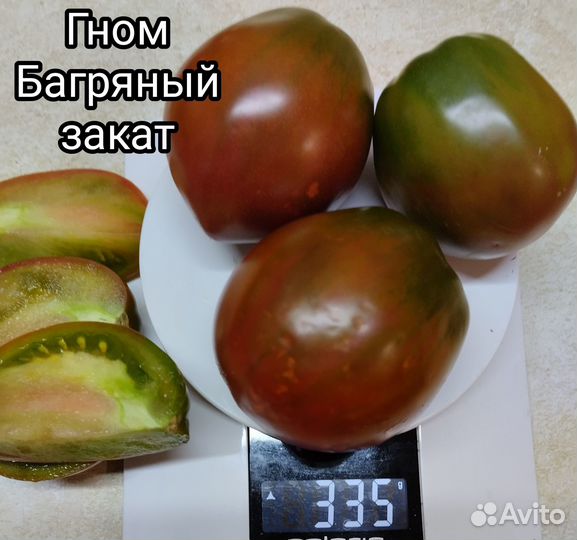 Продам семена коллекционных сортов томатов-Дварф