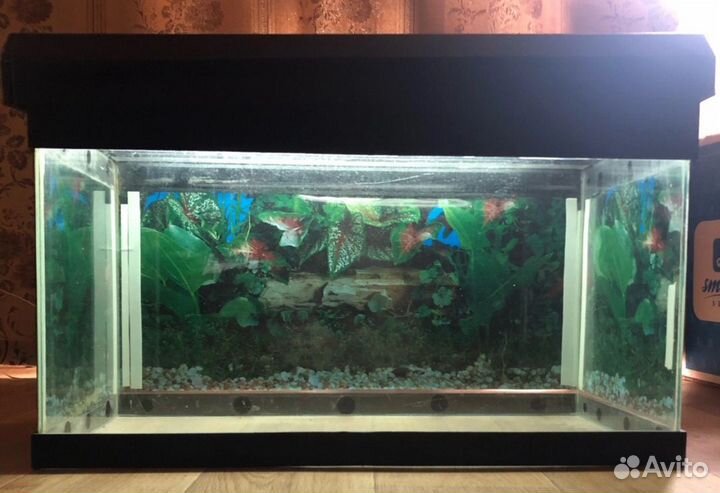 Аквариум для рыб с крышкой и подсветкой и лампой