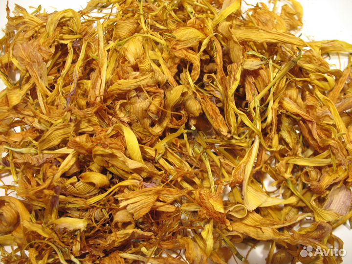 Красоднев лепестки в Москве