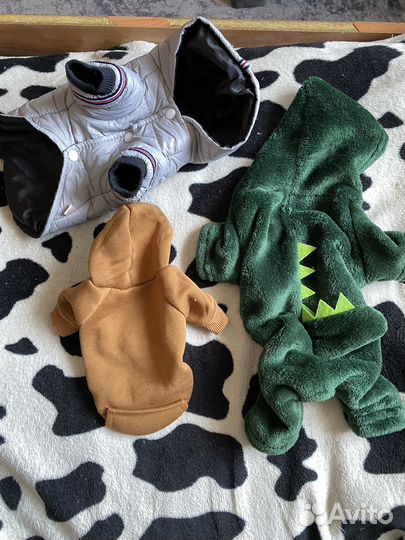 Вещи для животных