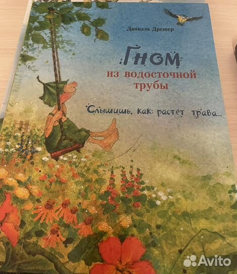 Книга Гном из водосточной трубы