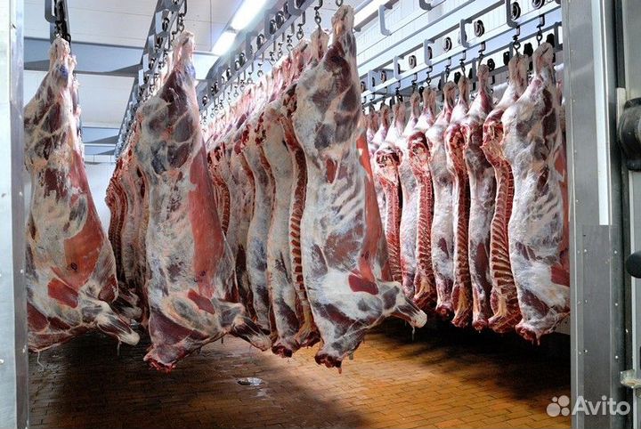Продукты питания оптом