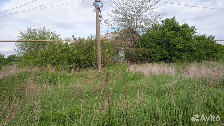 Сад, благоустройство