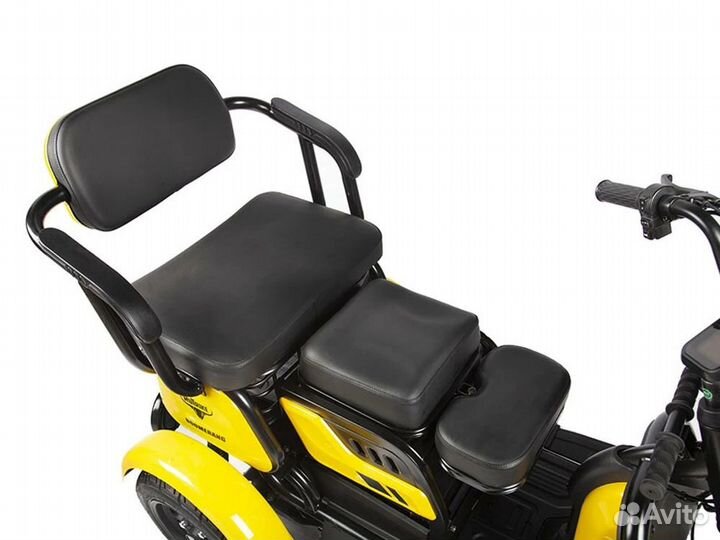 Пассажирский Электрический Трицикл Rutrike