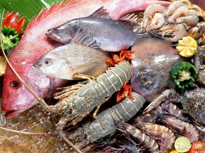 Рыбный магазин – готовый бизнес с доходом