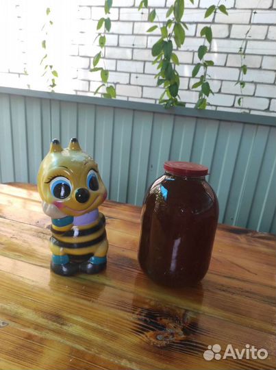 Мёд (мед) кориандровый