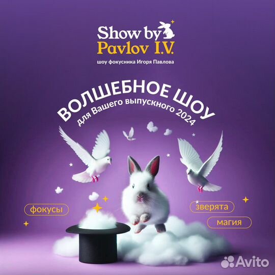 Выпускной Аниматор на детский праздник