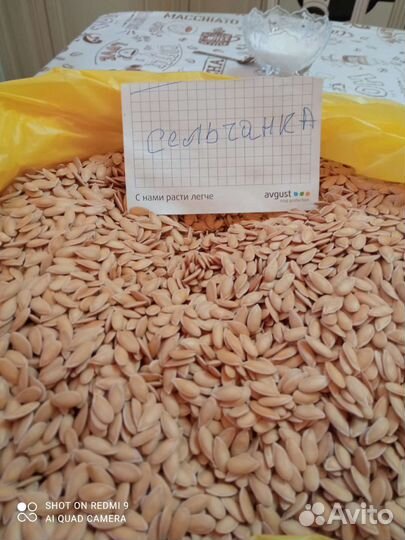 Семена арбуза. Дыни