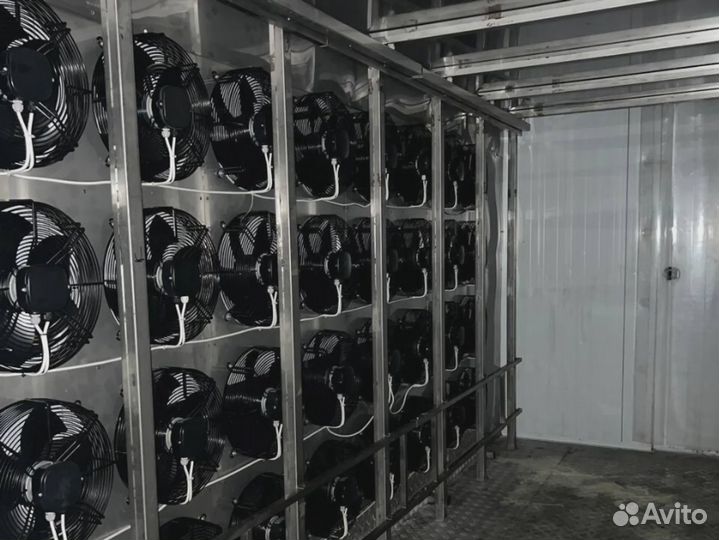 Холодильная камера для мяса