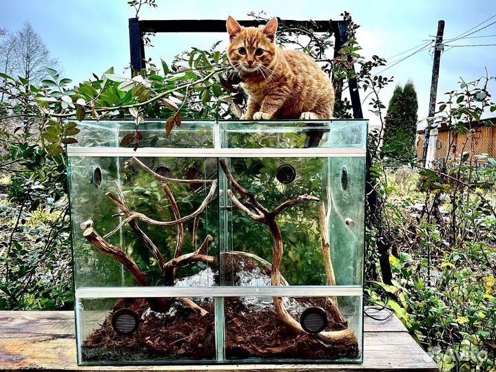 Изготовление террариумов для рептилий