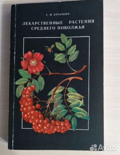 Лекарственные растения среднего Поволжья